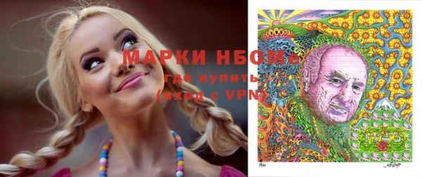 молекула духа Верхний Тагил