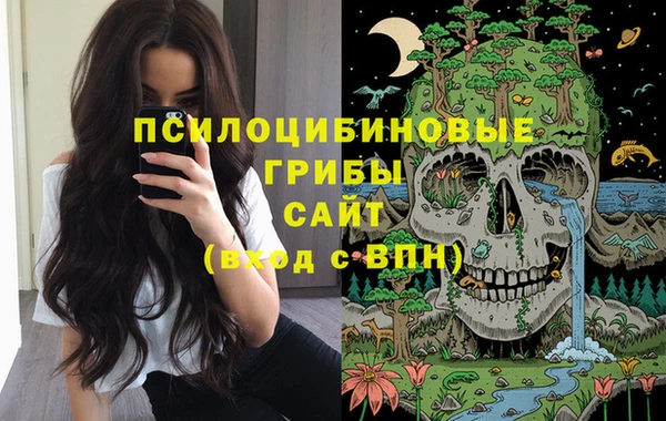 молекула духа Верхний Тагил