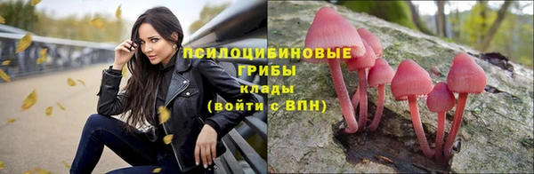 молекула духа Верхний Тагил