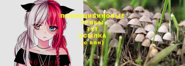 сатива Володарск