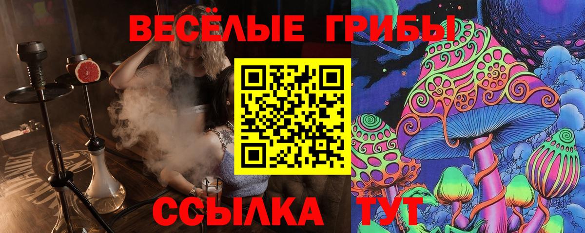 Псилоцибиновые грибы прущие грибы Раменское