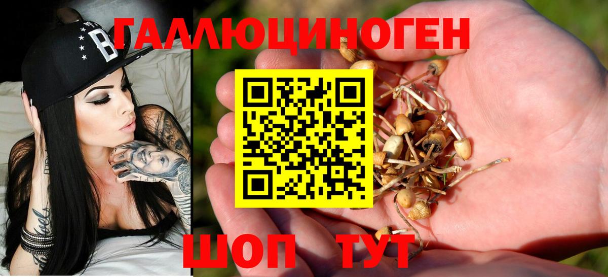 Галлюциногенные грибы Magic Shrooms  Вход с VPN  Раменское 